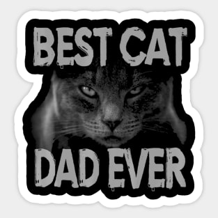 Best Cat Dad Ever Best Ideas Sticker